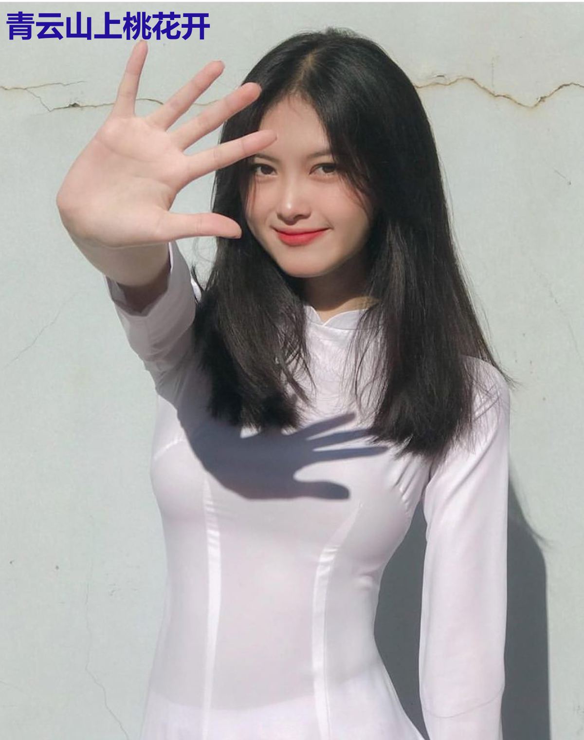 青云山上桃花开