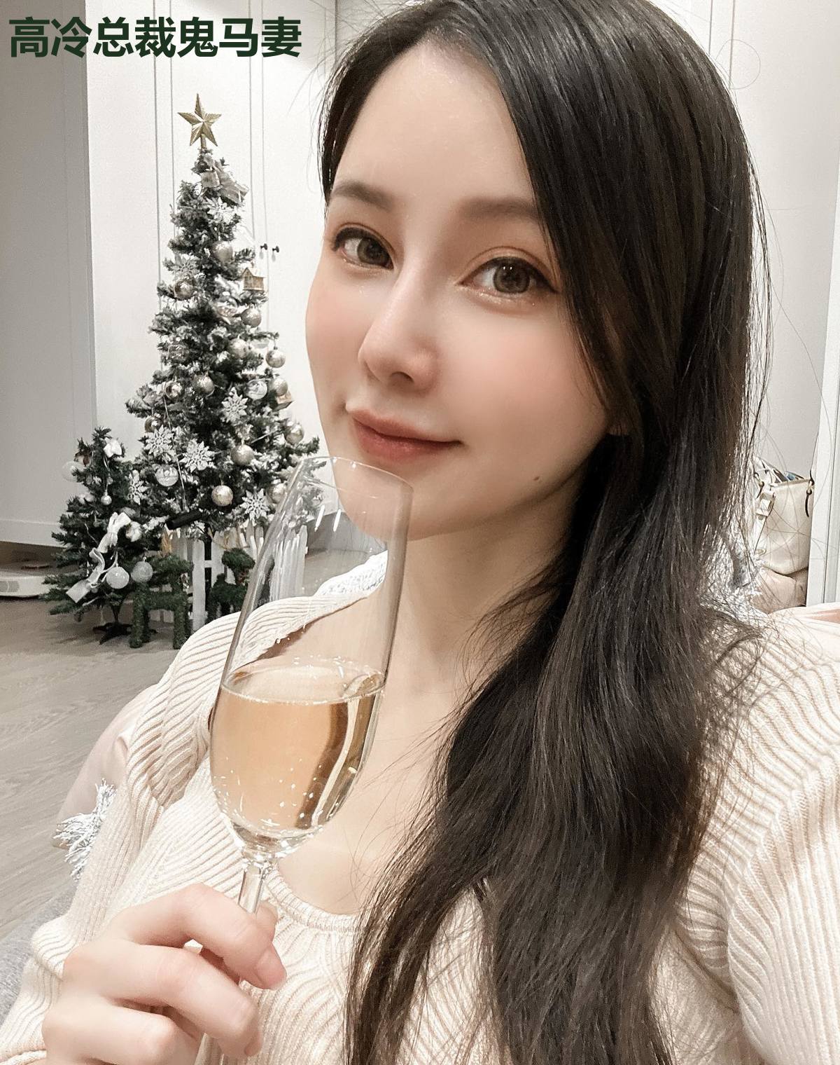 高冷总裁鬼马妻