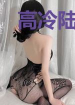 高冷陆少追妻路