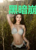 黑暗崩坏末世