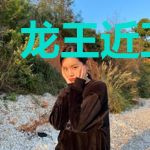 龙王近卫林苍