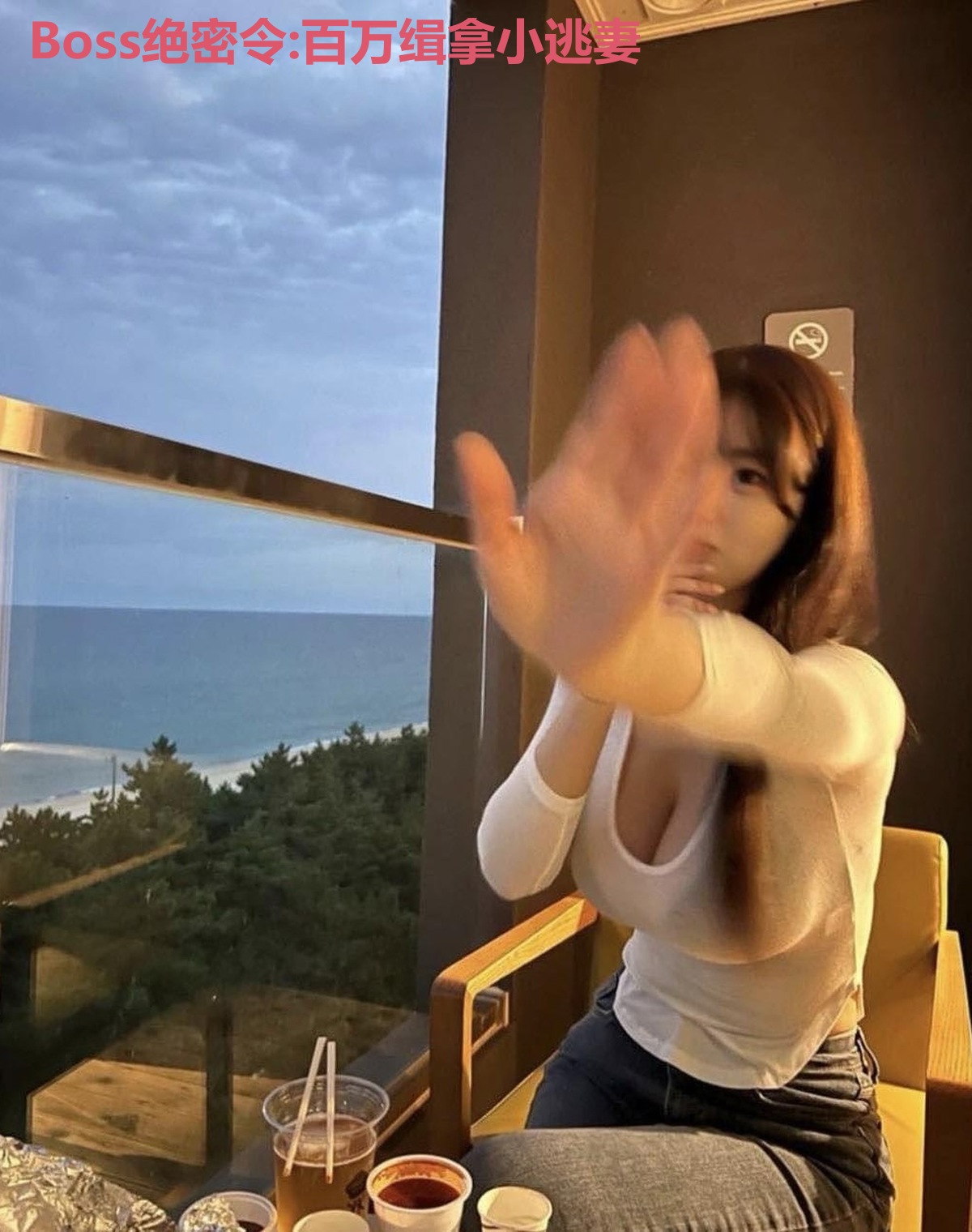 Boss绝密令:百万缉拿小逃妻